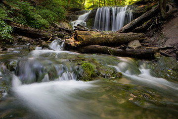 Waterfall in Carolinian forest