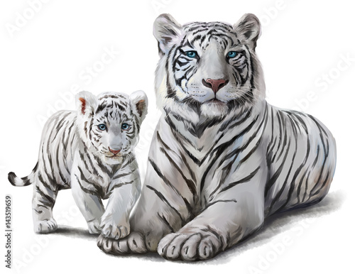 Fotografía White tigers watercolor painting