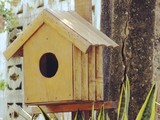 Fototapeta Krajobraz - wooden bird house in garden outdoors
