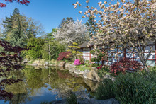 Jardin Japonais De L'Île De Versailles (Nantes, France)