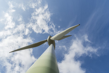 Wall Mural - wind turbine is green energy