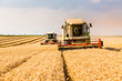 © oticki - Combine harvester in action on wheat field. Harvesting is the process of gathering a ripe crop from the fields.