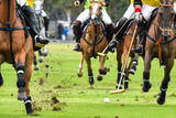 Horses running in a polo match.