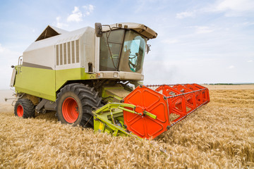 Wall Mural - Combine harvester in action on wheat field. Harvesting is the process of gathering a ripe crop from the fields.