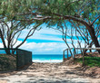 The view on ocean trough the beach entrance with wood fence and trees arch in Gold Coast, Australia