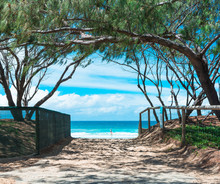 The View On Ocean Trough The Beach Entrance With Wood Fence And Trees Arch In Gold Coast, Australia