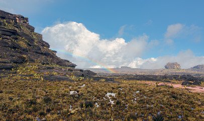 Wall Mural - View of the plateau Roraima tepui (The lost world) with rainbow - Venezuela, South America