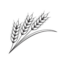 Graphic Wheat, Vector