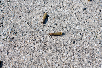 two shell casings