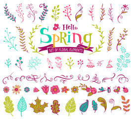 Wall Mural - Floral spring design elements in doodle style