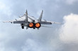 MiG-31BM RF-92379 jet fighter takes off at air force base