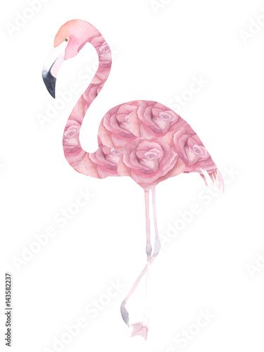 Watercolor exotic flamingo. Summer decoration print. Vector illustration