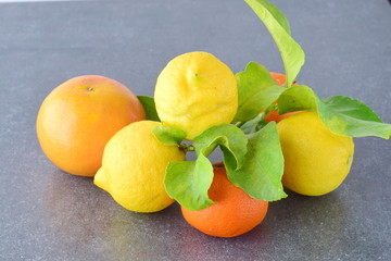 Citrus collectionFresh oranges, lemons and mandarines on a grey abstract background. Mediterranean lifestyle. Healthy food.