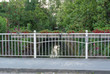 © John - Bridge Over Canal