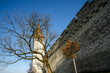 City wall and tower
