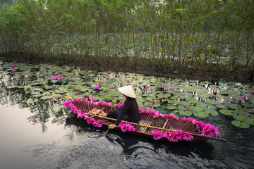 Wall Mural - Vietnam landscape with woman rowing boat loaded with flowers on Yen stream, Ninh Binh, Vietnam