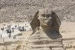 Closeup view of the Sphinx head with pyramid in Giza near Cairo, Egypt