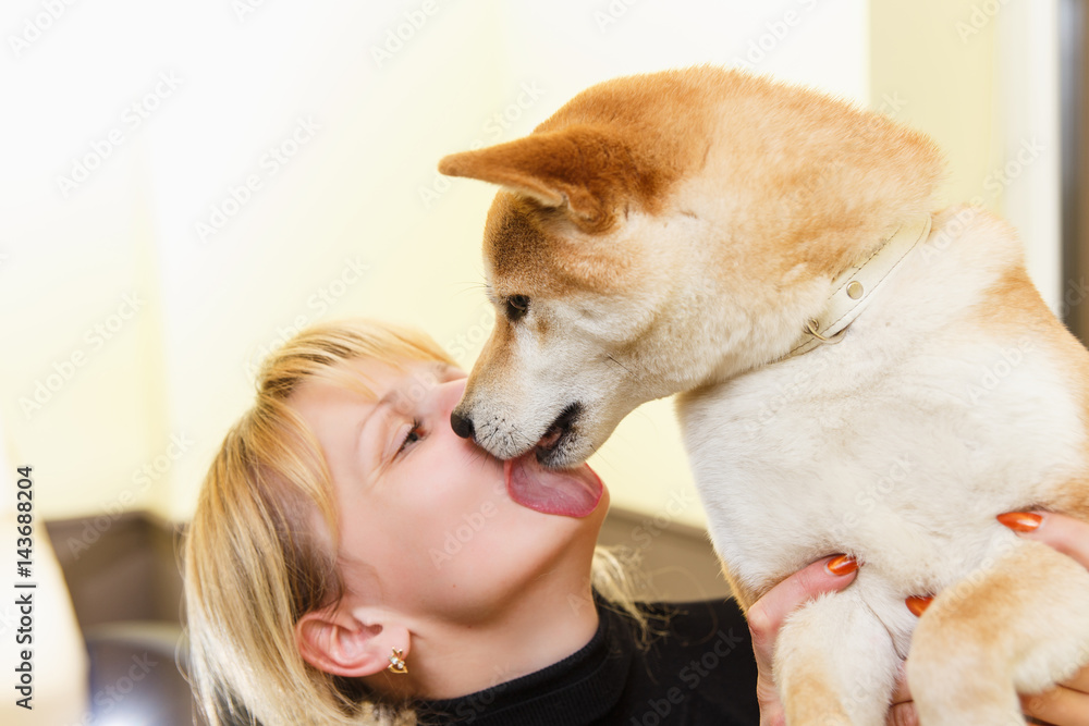 Photo Art Print Shiba Inu Dog Licks His Owner Face