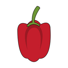 bell pepper vegetable icon image vector illustration design 