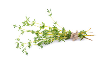 Thyme fresh herb isolated on white background