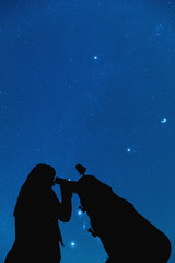 Wall Mural - girl looking at the stars through a telescope.