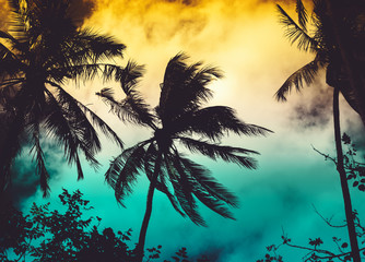 Silhouette coconut palm trees with sun light on sunset sky background. Travel concept. Photo from Kabi, Thailand. Vintage colors and boost up color processing.