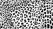 © innakos - Leopard. Pattern texture repeating seamless monochrome black & white.