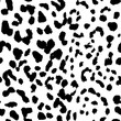 © innakos - Leopard. Pattern texture repeating seamless monochrome black & white.