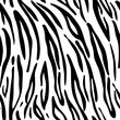 © innakos - Tiger. Pattern texture repeating seamless monochrome black & white.