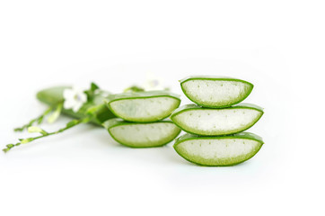 Wall Mural - Aloe Vera  very useful herbal medicine for skin treatment and use in spa for skin care.