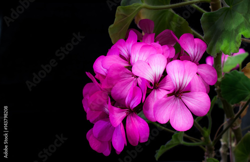 500_F_143798208_6i1CDQ3ujiuQNkk2QNjxfaq7w8BlAL66.jpg