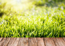 Summer Garden Background With Green Grass And Wooden Planks