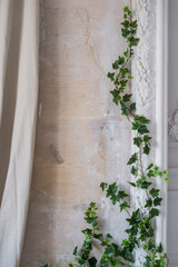 Sticker - White art stucco gypsum wall with a grean loach branch on it