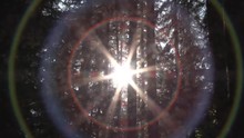 Camera Zoom In And Out On Sun In Forest With Color Spectrum Effect To Full White Transition.