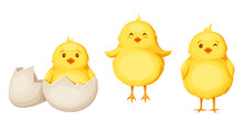 Set Of Three Cute Yellow Easter Chickens Isolated On A White Background.