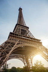 Wall Mural - eiffel tower