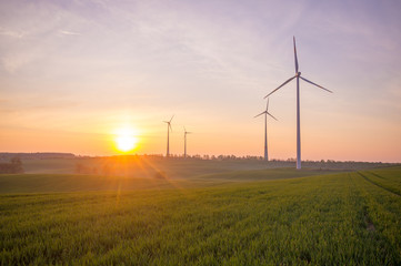 Wall Mural - windmills (wind turbines) in a field at sunrise
