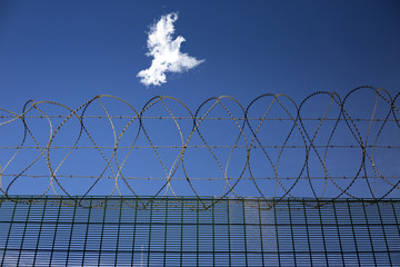 Refugee dream to sneak over the border - concept of a prisoner dreaming of freedom or escape. Piece between two countries in border line. Jail barbed wire fence and a white freedom dove flying over.