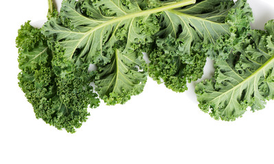 Green leaves of kale.