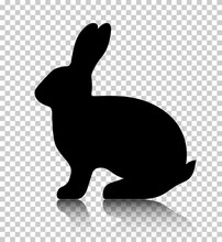 Black Side Silhouette Of A Rabbit With Reflection Isolated On Transparent Background. Vector Illustration. EPS10