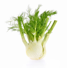 Sticker - Fennel green root on white background