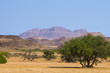 Mountain landscape with desert elephants in Aba Huab river valley near Twyfelfontein in Damaraland, Namibia