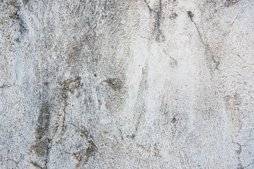 Wall Mural - texture dirty cement background