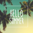 Hello Summer background with palm, image, design, travel, poster, event
