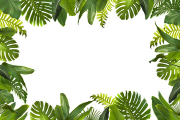 Wall Mural - Tropical Leaves Background