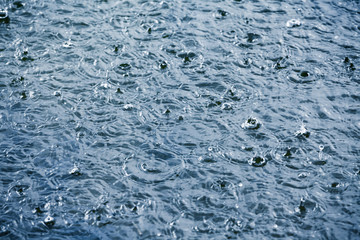Wall Mural - heavy rain drops on a lake