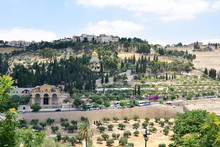 Mount Of Olives In Jerusalem