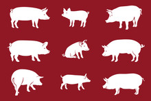Pigs Red / Pork Icon. Vector Image, Pig Silhouette, In Curl Tail Pose, Isolated On Red Background