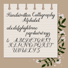 Wall Mural - Calligraphy decorative alphabet. Handwritten uppercase, lowercase letters. Hand drawn script. Wedding calligraphy, lettering. Vector illustration