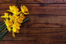 Yellow Narcissus Or Daffodil